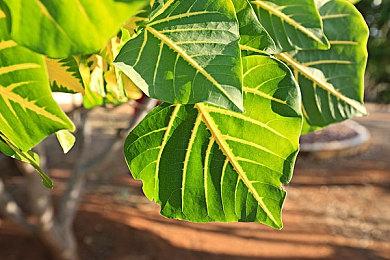 基于道德选择的APRG《后见之明20＆20》登陆Steam平台