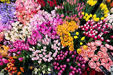 策略模拟游戏《领主与村民》最新DLC“豪门望族”现已在Steam平台正式推出